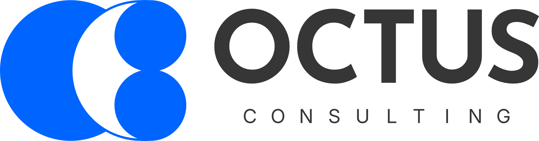 Octus Consulting
